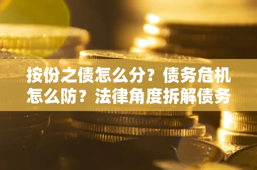 武汉按份之债怎么分？债务危机怎么防？法律角度拆解债务分配与风险自保指南