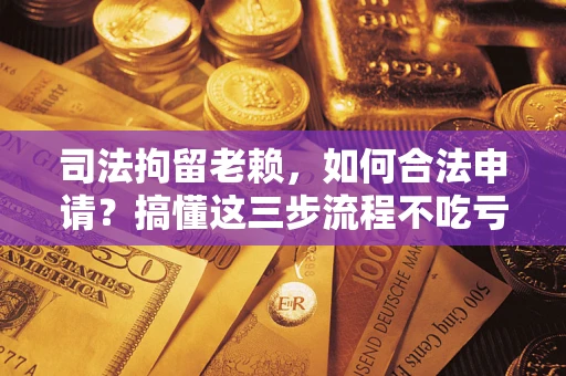 武汉司法拘留老赖，如何合法申请？搞懂这三步流程不吃亏！