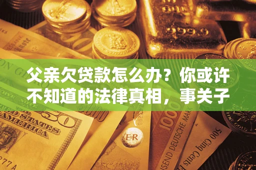 武汉父亲欠贷款怎么办？你或许不知道的法律真相，事关子女未来