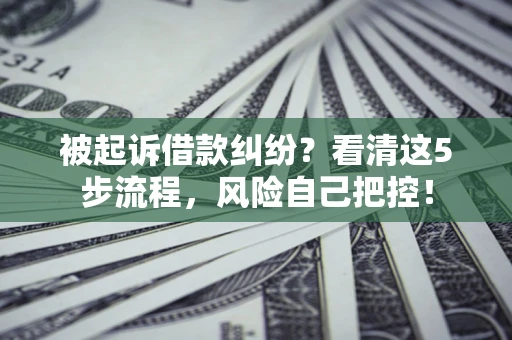 武汉被起诉借款纠纷？看清这5步流程，风险自己把控！