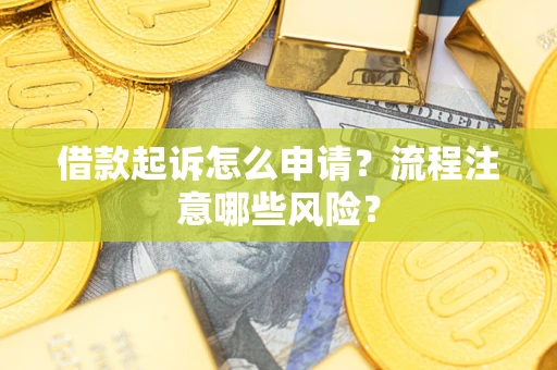 武汉借款起诉怎么申请？流程注意哪些风险？